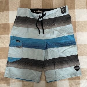 O'Neill Striped Blue and Gray Board Shorts